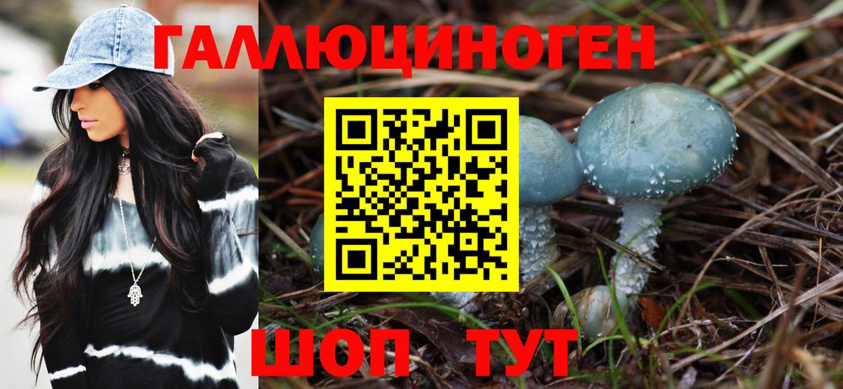 Йошкар-Ола  купить закладку  Вход с VPN  Псилоцибиновые грибы MAGIC MUSHROOMS 