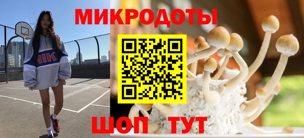 Галлюциногенные грибы Psilocybe Йошкар-Ола