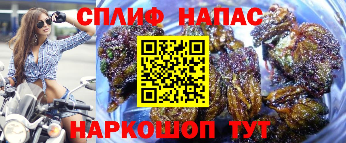 Йошкар-Ола  Каннабис OG Kush  Марихуана тримм  Каннабис план  Вход с VPN 